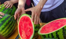 免费吃瓜最新,揭秘网络热点的幕后故事